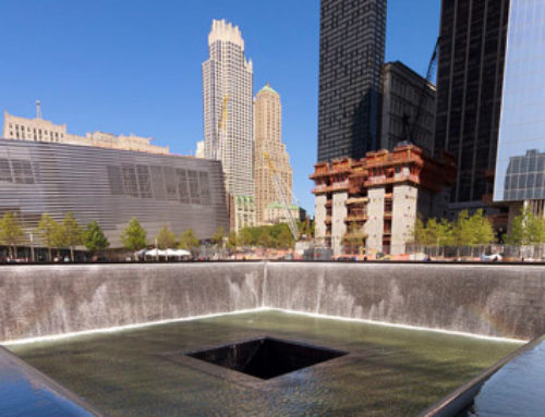 Remembering the Canine Heroes of 9/11