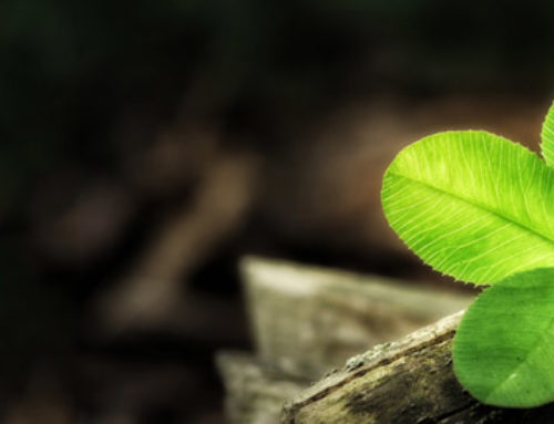 Supernaturally Speaking: Clover Superstitions
