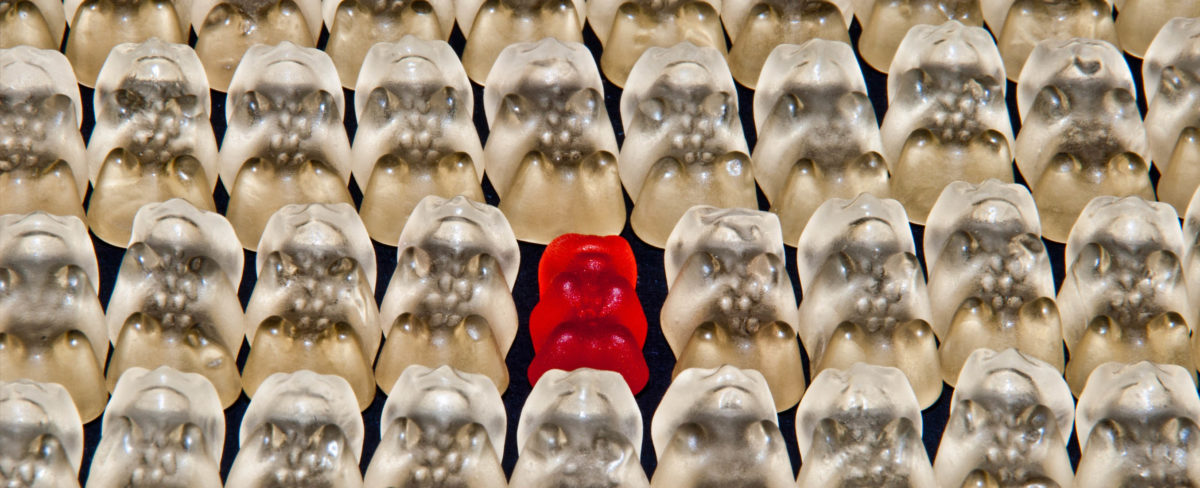 Rows of white gummy bears with one red one.